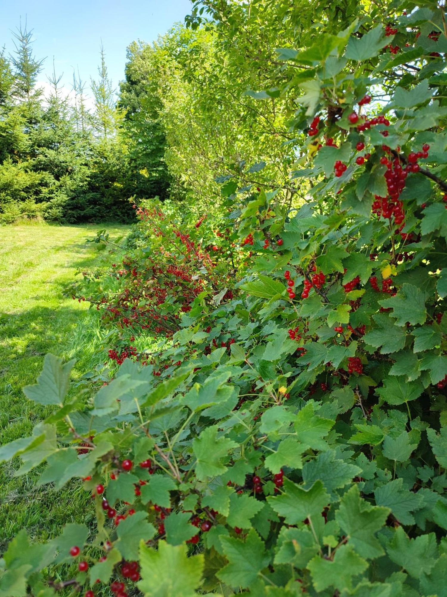 Smrekowa Chatka W Milowce Milówka Exterior foto